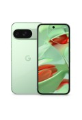 Google Pixel 9 12/256Gb Wintergreen