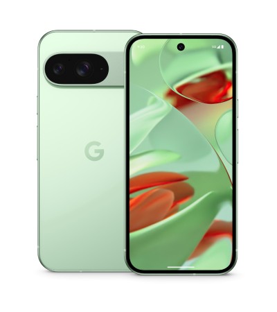 Google Pixel 9 12/128Gb Wintergreen