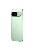 Google Pixel 9 12/256Gb Wintergreen